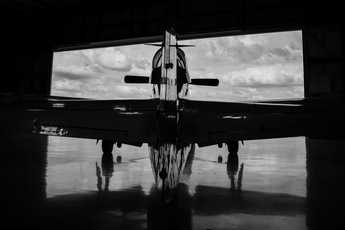 Annabel's wild Mustang flight with Stallion 51